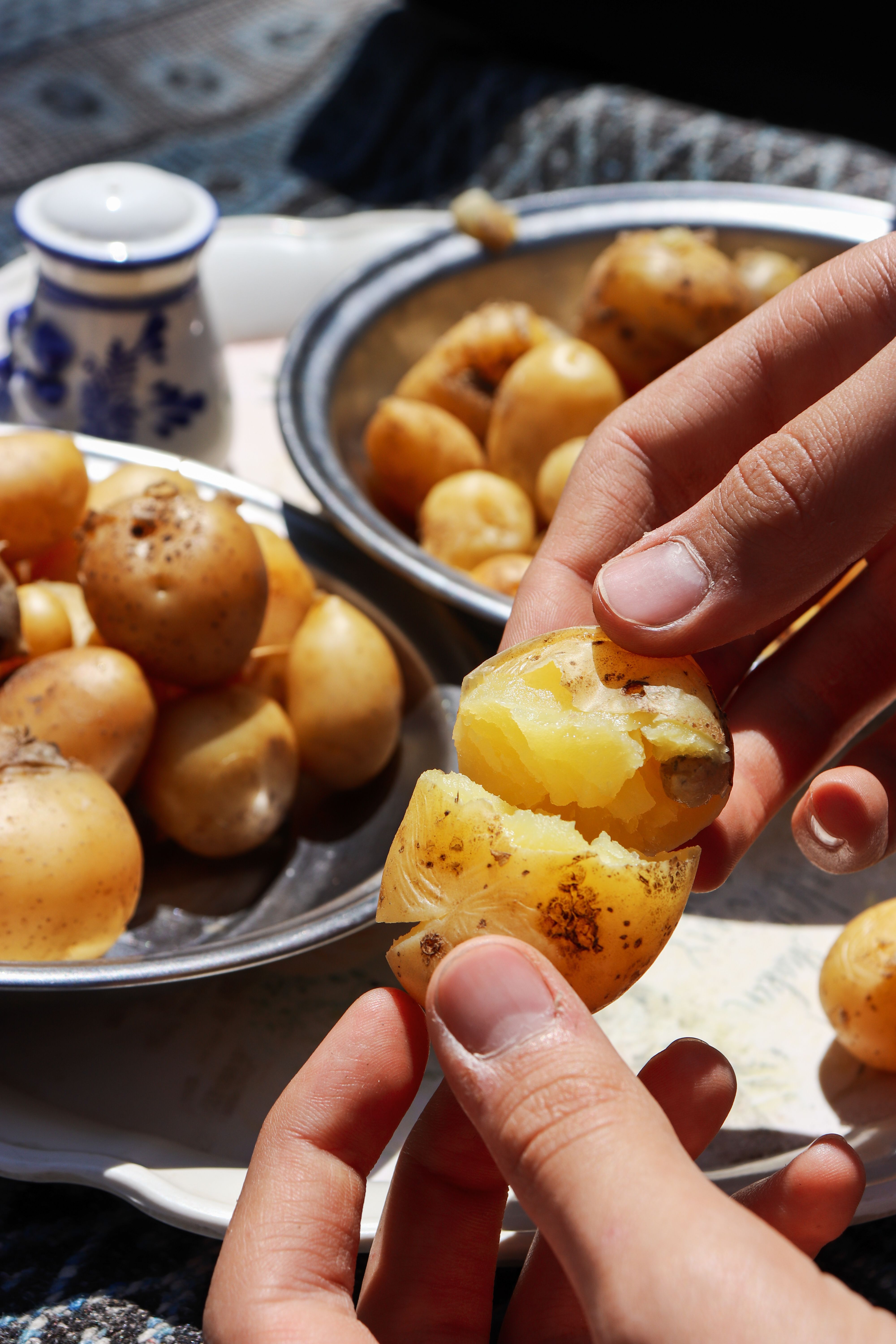 Potatoes: The Little Spud That Can Do It All! 